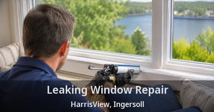 Leaking Window Repair HarrisView, Ingersoll - ON