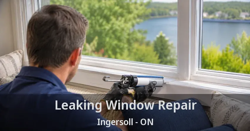 Leaking Window Repair Ingersoll - ON